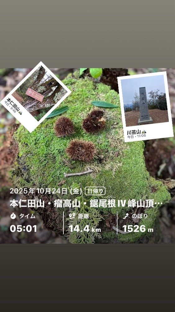 芸術の秋🎨🍂