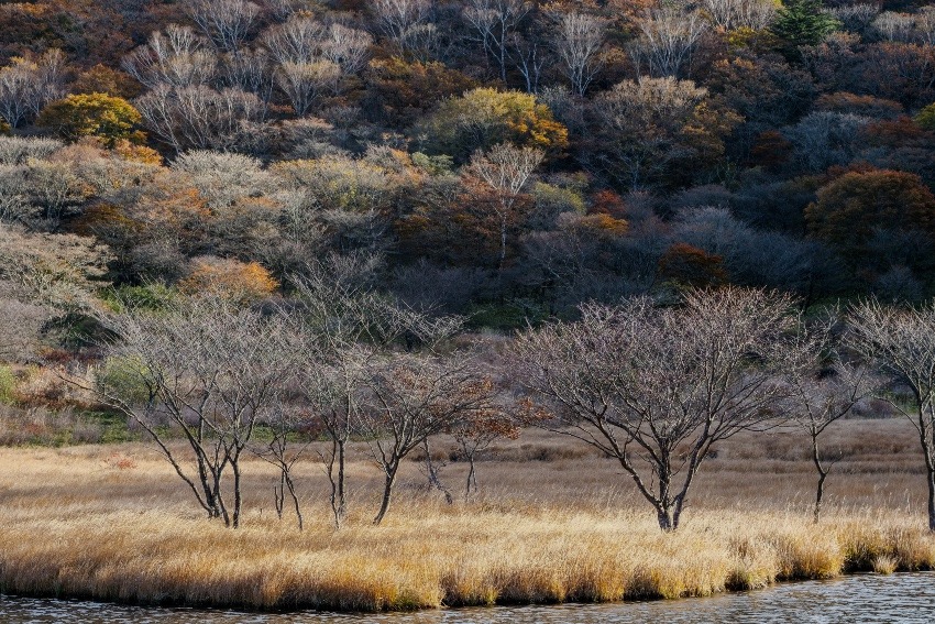 【10/11】ちょいと紅葉には早いかもだけれど、赤城山いかがですか。