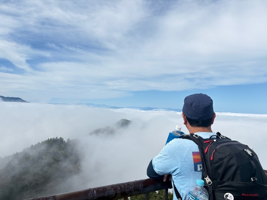 仏果山はきのこ山だった
