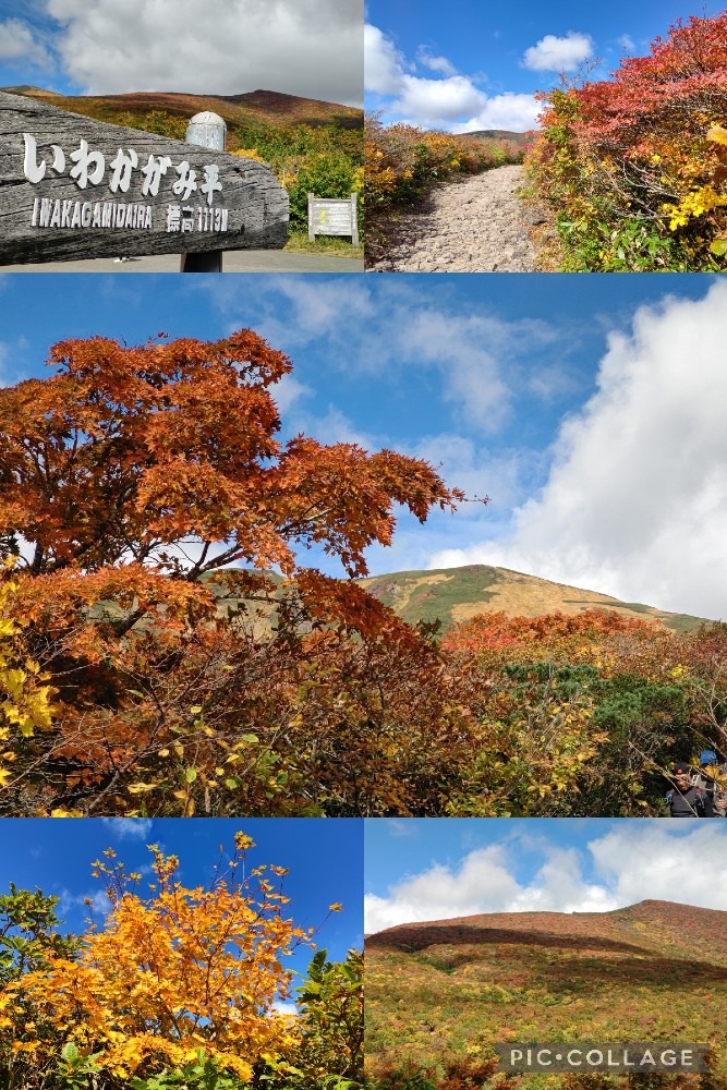 紅葉の栗駒山