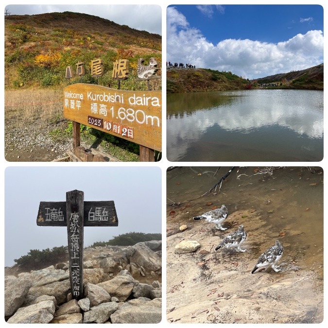 唐松岳アタック⛰️