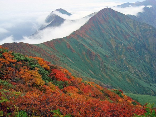 紅葉終わりの谷川岳(10/30、31どちらか)