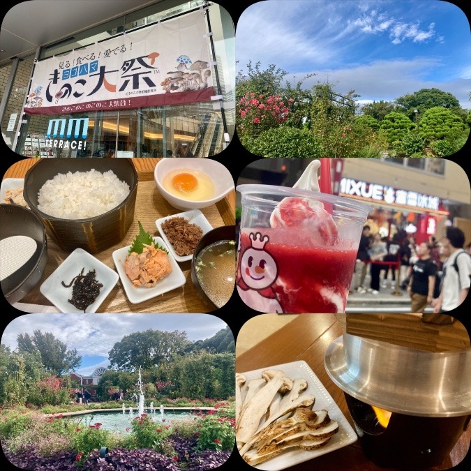 盛り沢山な一日☆o(≧▽≦)o ☆