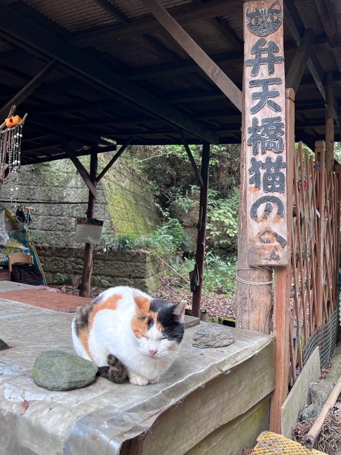 城山〜相模湖