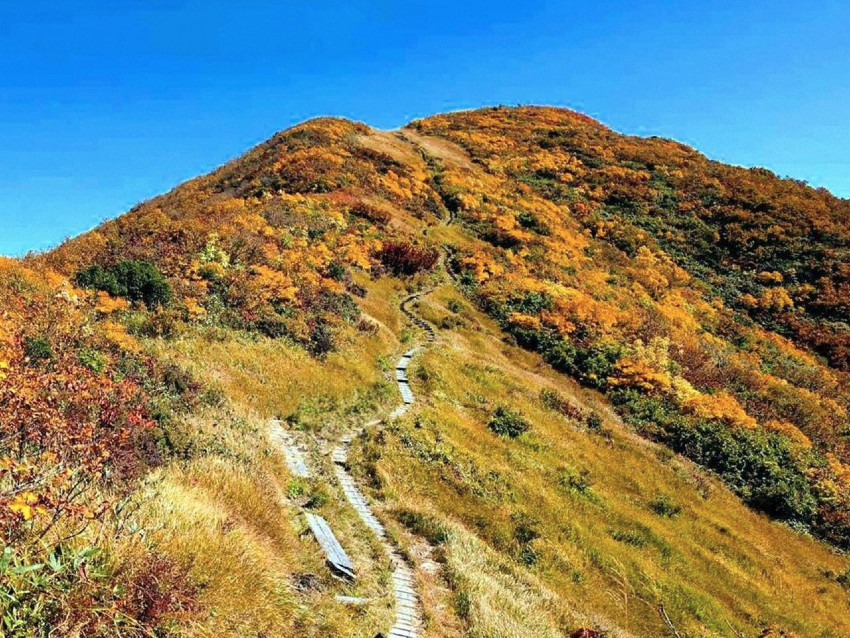 【満員御礼】10月18日(土)紅葉の浅草岳(日本三百名山) 同行者募集【所沢・深夜発】