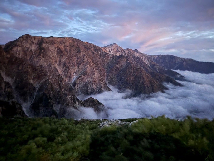 唐松からの白馬連山