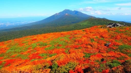 【1名募集中】10/11 八幡平・秋田駒、10/12 早池峰・姫神