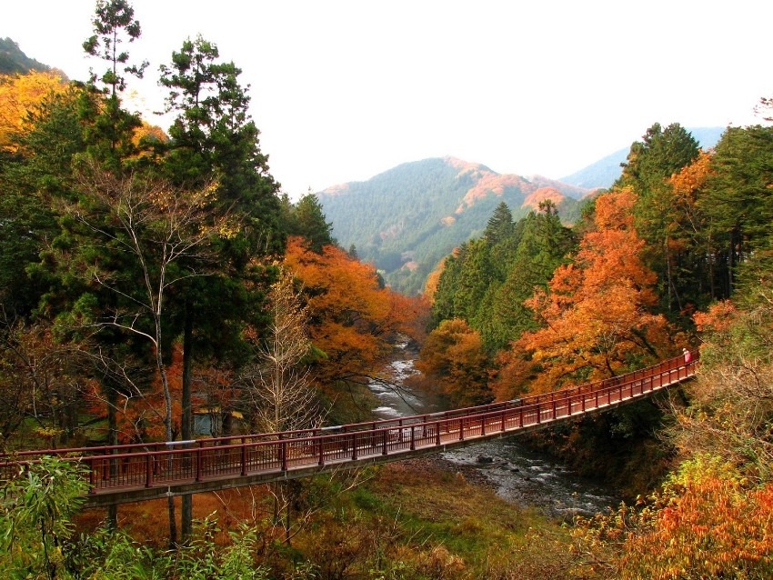50代半まで:11/1土🍁秋の城山&秋川渓谷ハイキング企画🍂