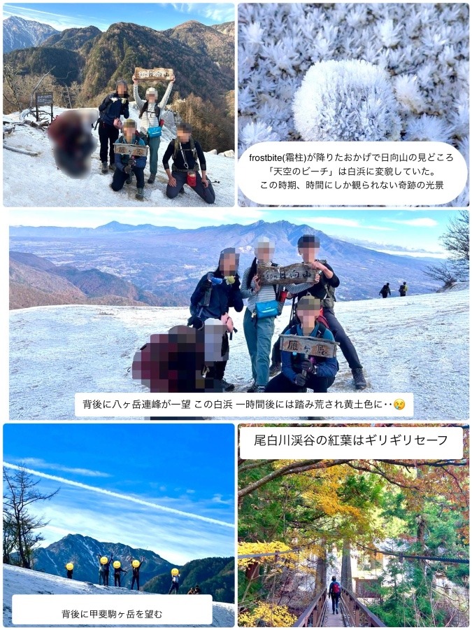 「日向山」今時期しか観られない「奇跡の純白ビーチ🏖️」