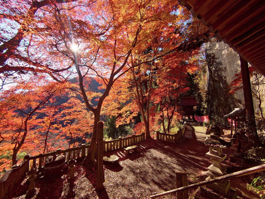 黒瀧山不動寺の紅葉