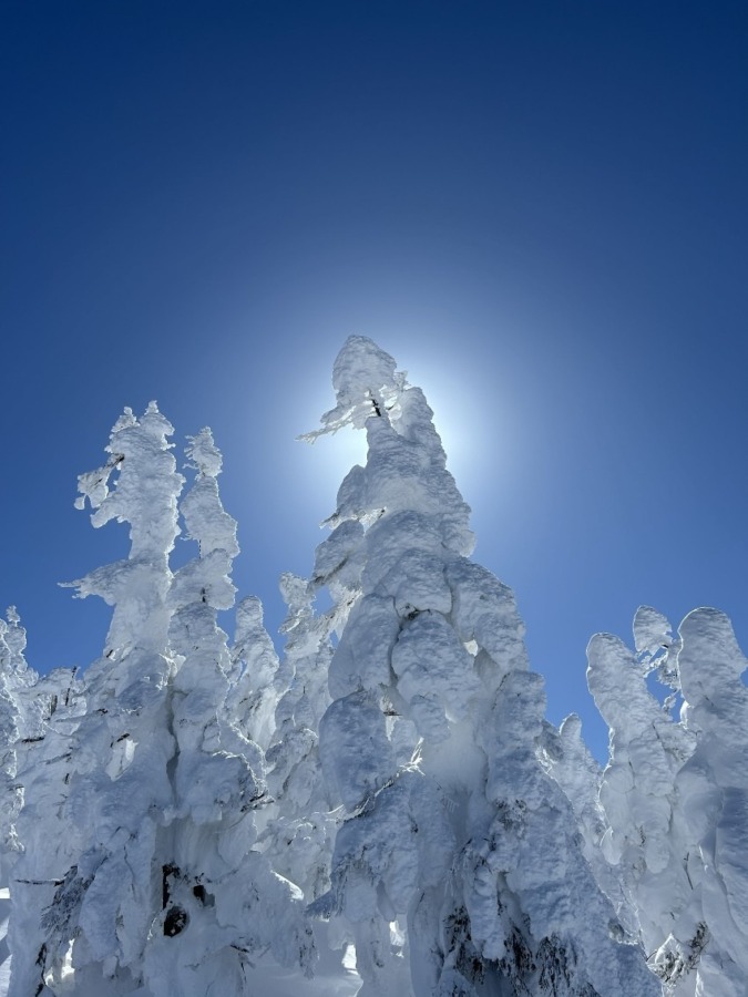 雪男&雪女 絶賛募集中