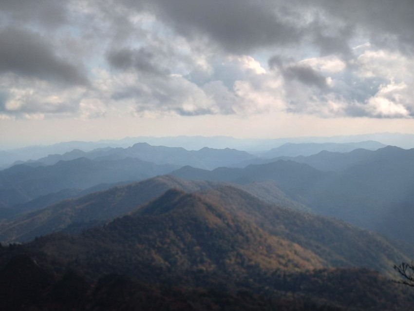 熊本国見岳〜樅木登山口から