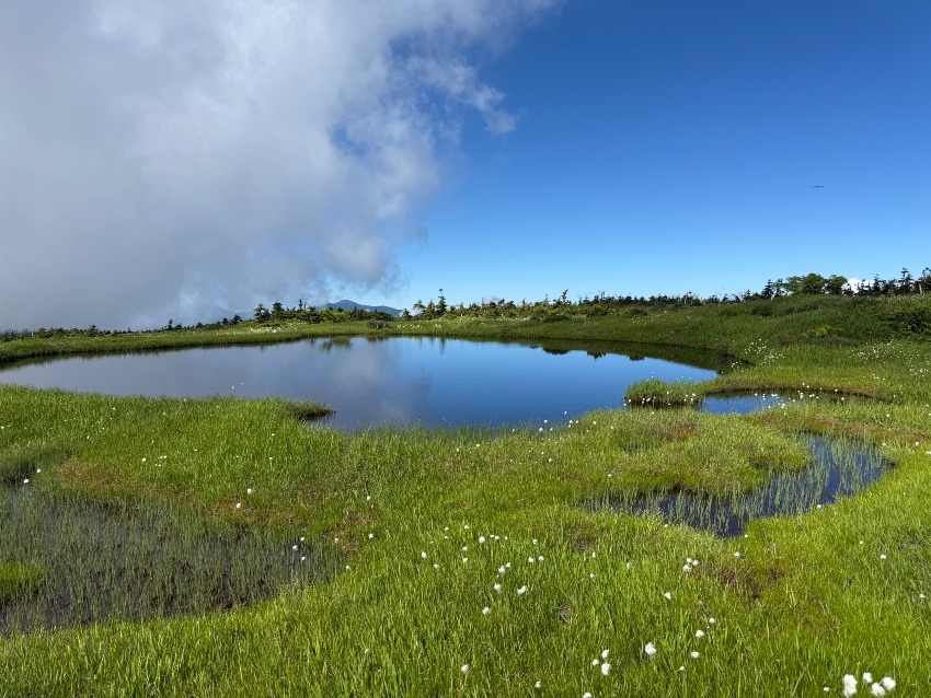 山友さん募集〜