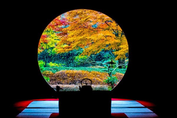 12/14 鎌倉 坐禅&紅葉ハイキング Kamakura Hike