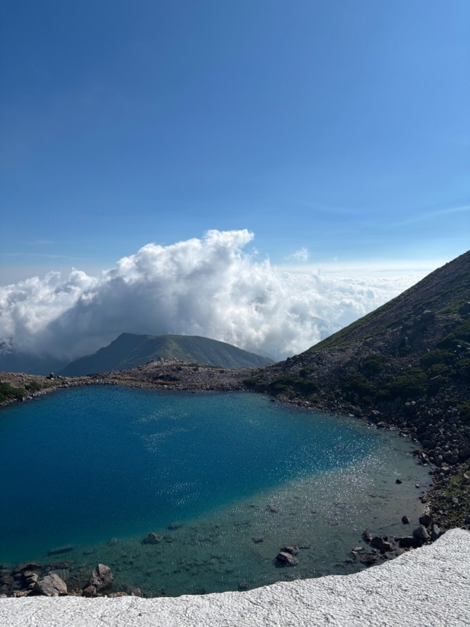 山友募集です👍