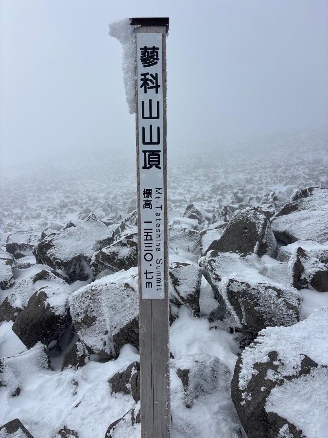 可愛いエビの尻尾