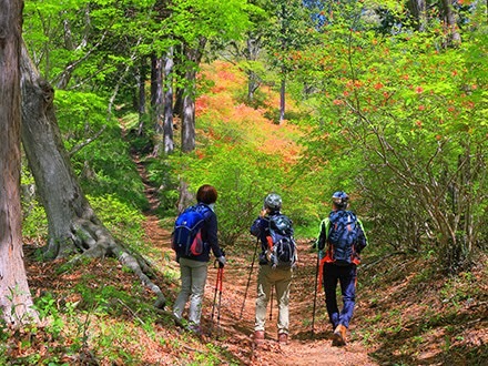 【１月・２月 土曜日】関東近郊の低山を一緒に楽しむ女性山仲間を募集☆