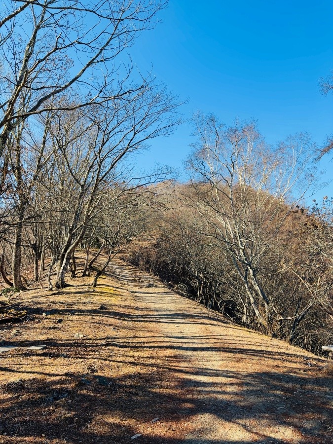 川苔山・本仁田山(2025.12)