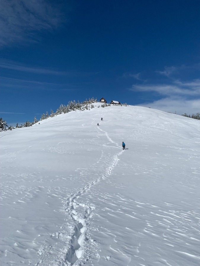 山仲間募集🏔️
