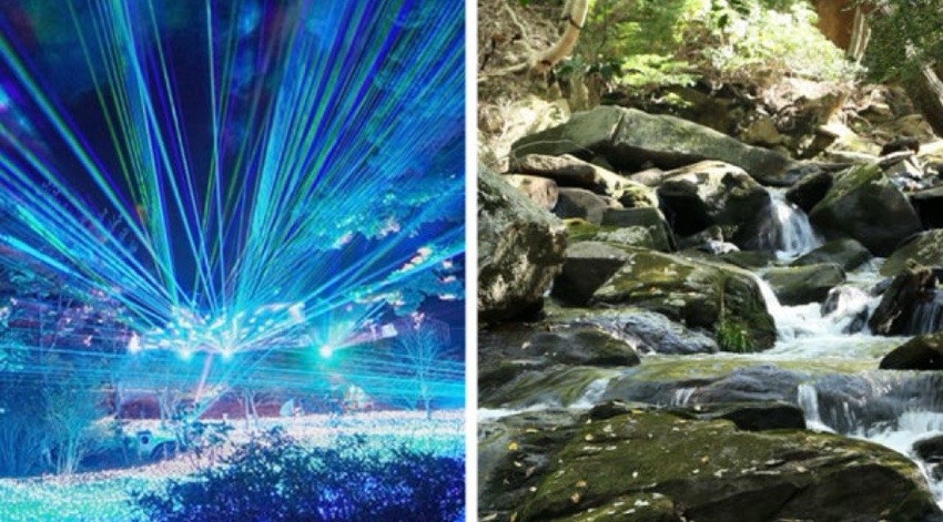 1/11(日)京都のるり渓でゆる〜いハイキングとイルミネーション！ハイキング女子参加者募集！初心者の方も大歓迎！参加費無料！