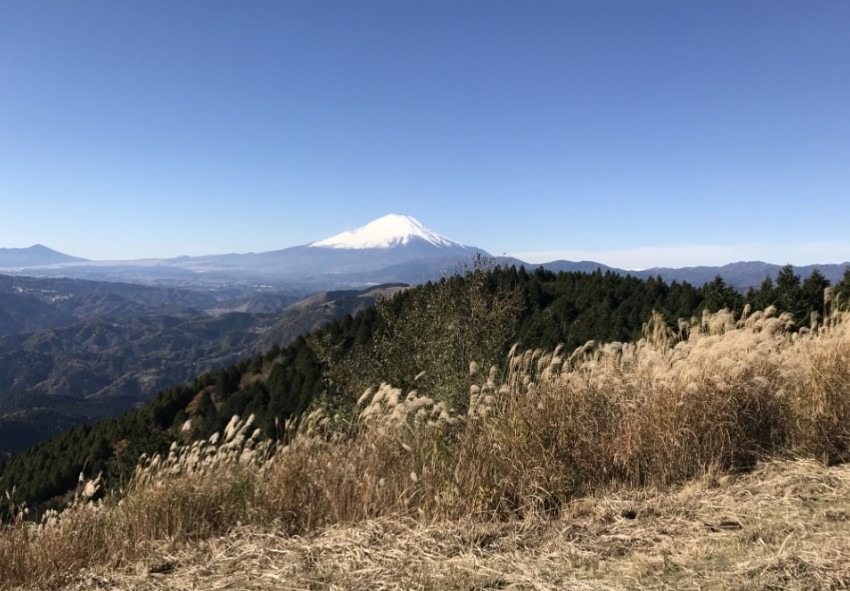 12/26 (金）高松山（丹沢方面低山）登山参加者★急募★