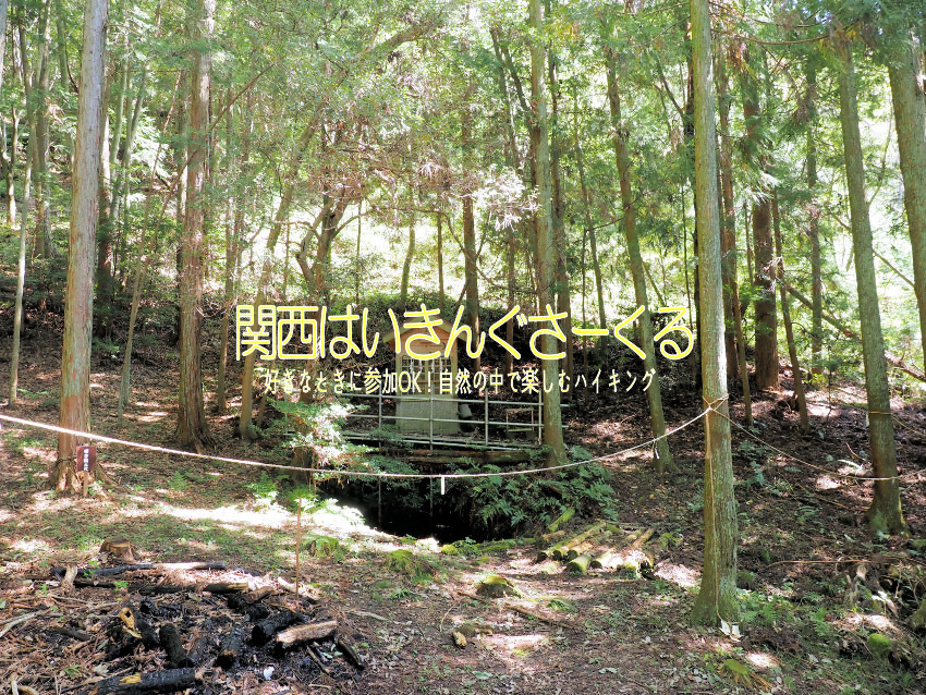 4/26(日) 	初瀬山から龍王山古墳群へ行こう