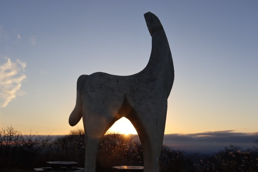 ゆっくりハイク仲間募集！