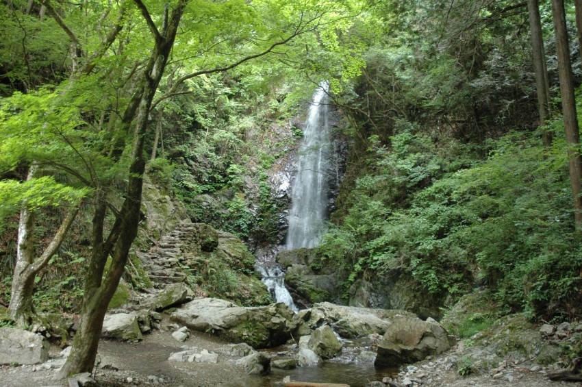 12/30火 U55 払沢の滝-浅間領-数馬 縦走