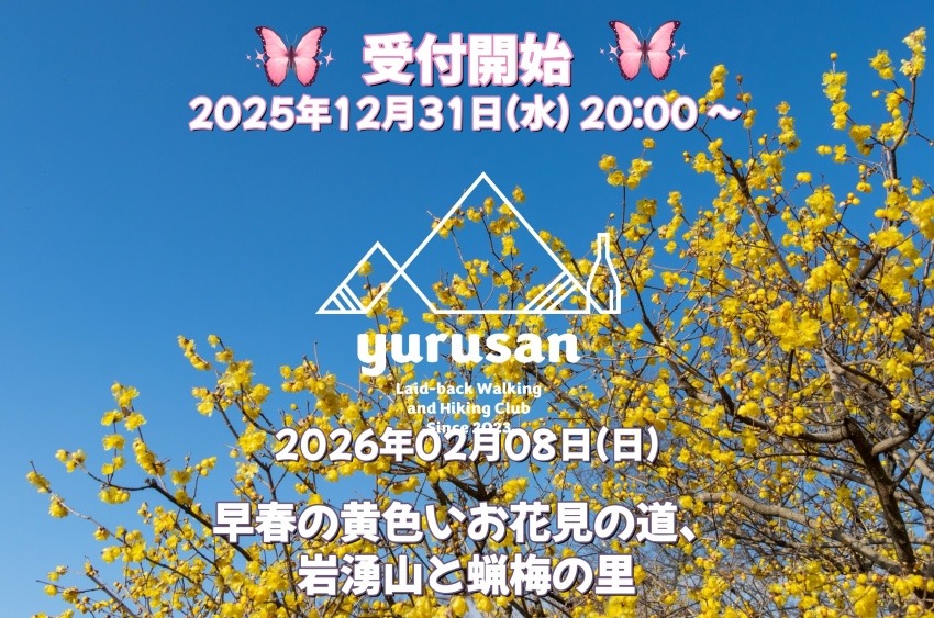 【20代〜40代の登山仲間募集】早春の黄色いお花見の道、岩湧山と蝋梅の里