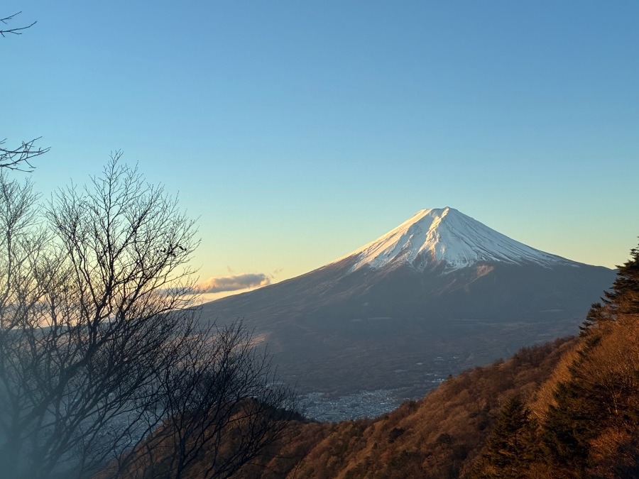 あけましておめでとうございます🎍