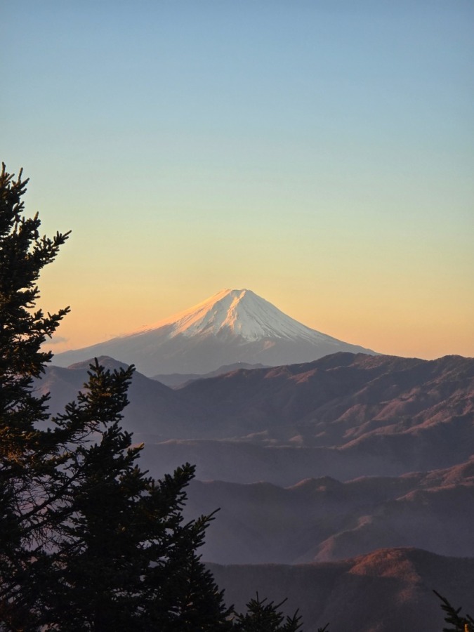 [募集]1月24日 天城山周回(ロングコース)