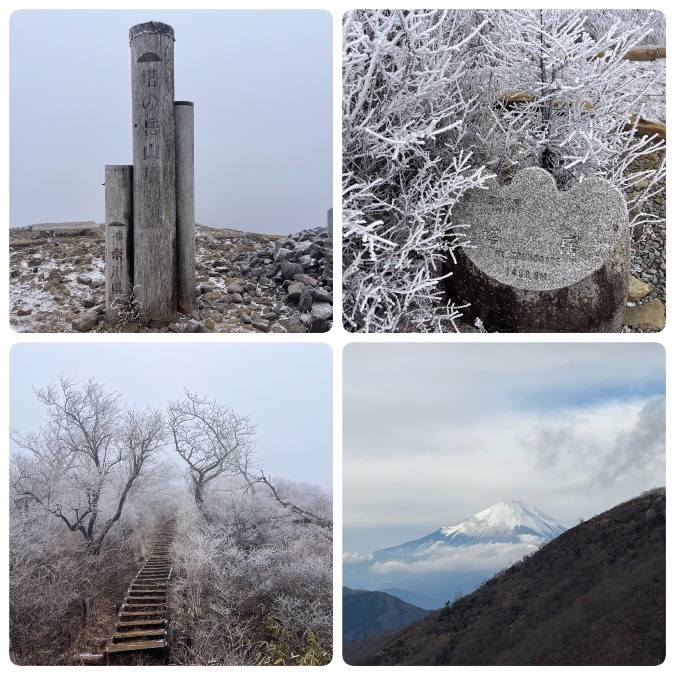 今回も塔ノ岳まで…🤣