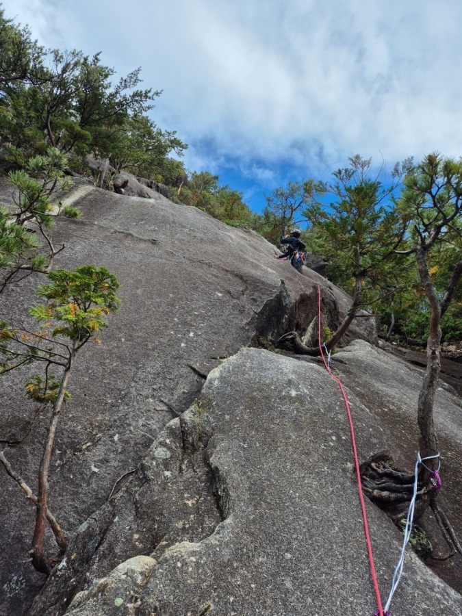 アルパインパートナー募集サイトのお知らせ