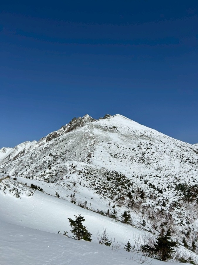【2/4 水】稲村ヶ岳 登山仲間募集