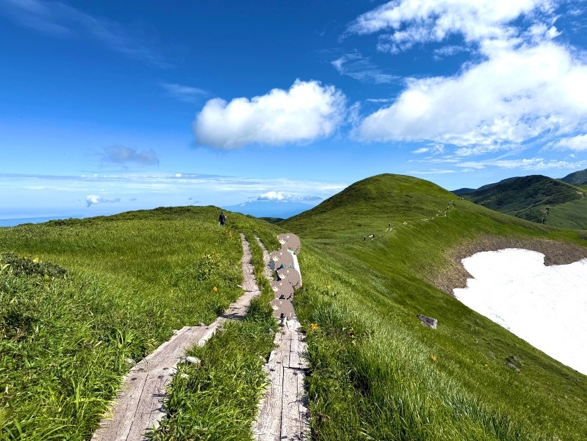 山友募集です😊
