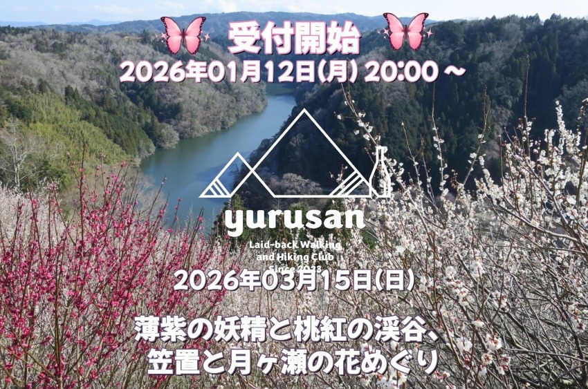 【20代〜40代の登山仲間募集】薄紫の妖精と桃紅の渓谷、笠置と月ヶ瀬の花めぐり