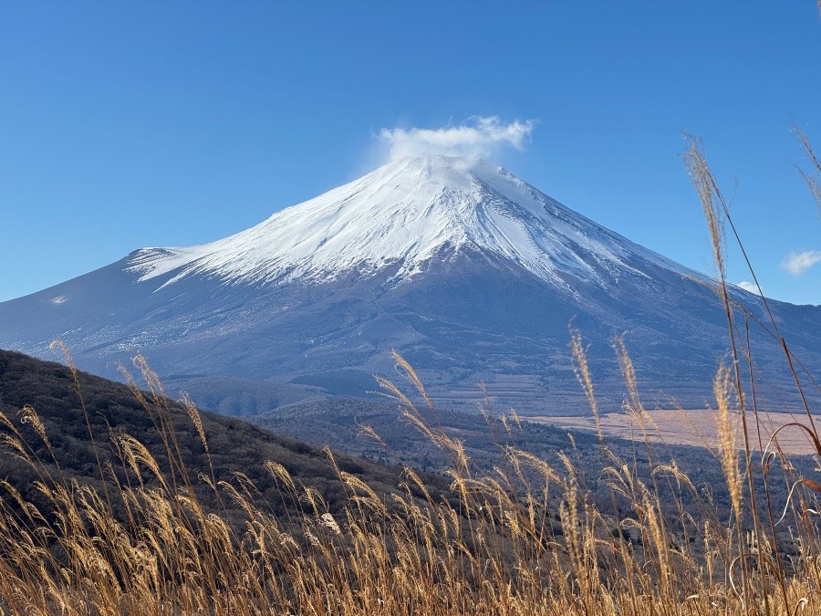 鉄砲木ノ頭（明神山）よりちょっと先からの富士山