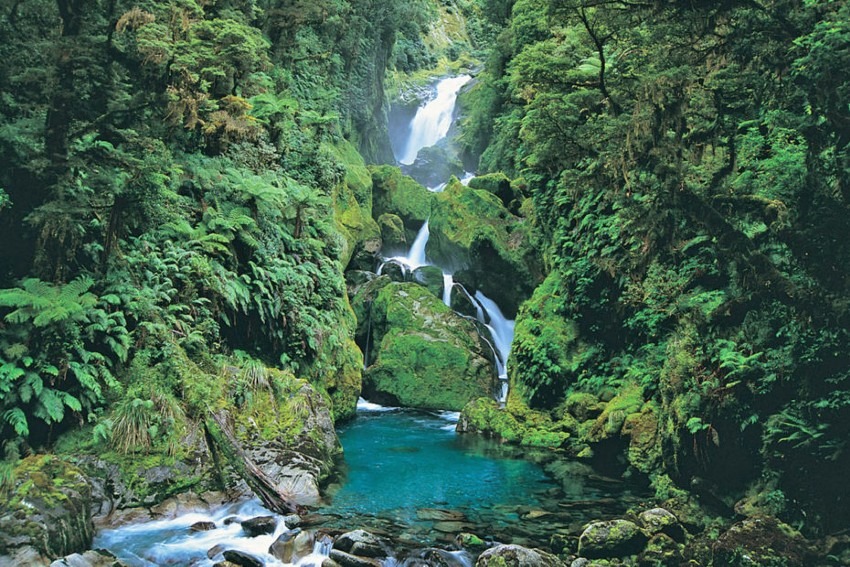 【募集停止】NZ ミルフォード トラック 2026