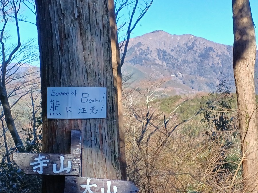 大山でも　熊に注意！