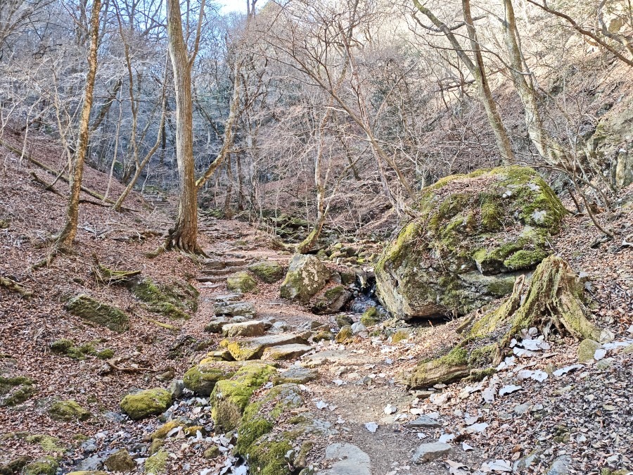 2026.01.11 ロックガーデン