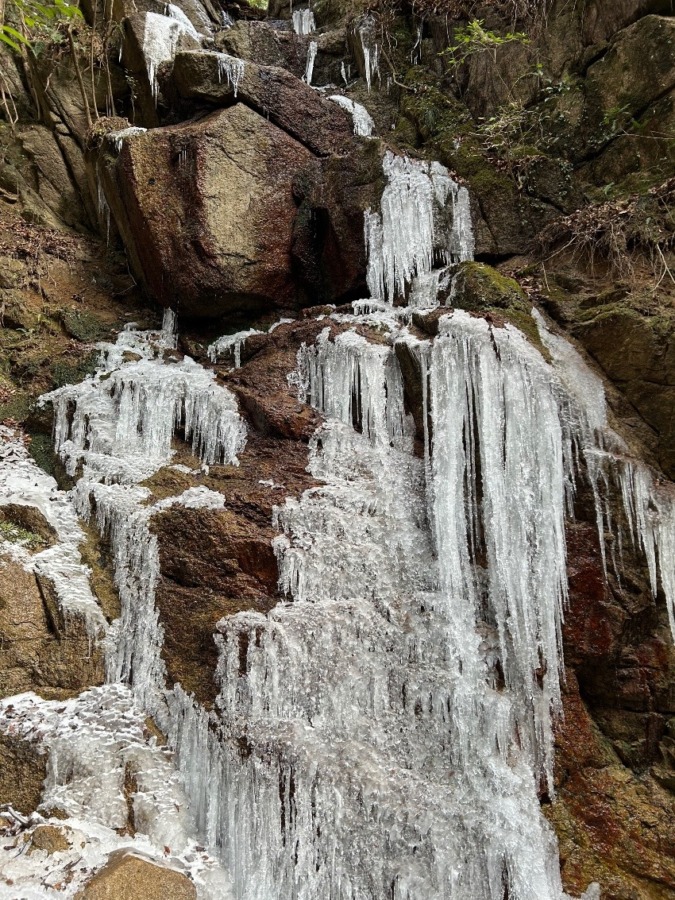 2/7(土)六甲山カスケードバレー！女性山友募集！登山初心者の方も大歓迎！参加費無料！