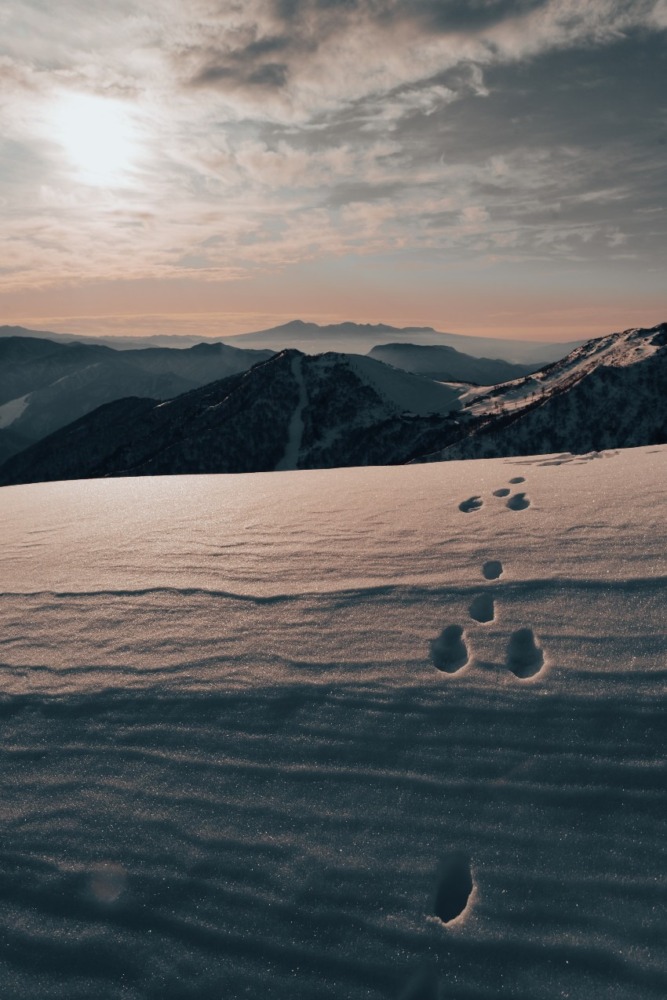 ゆっくり写真を撮りに登りませんか？