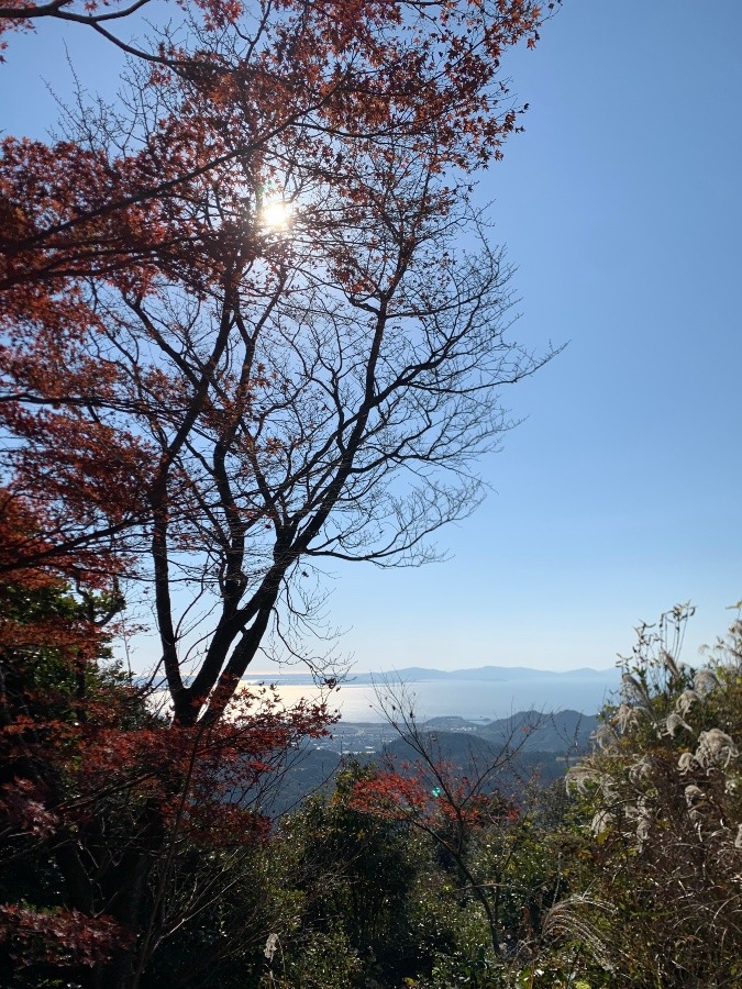 宮路山山頂から見た三河湾