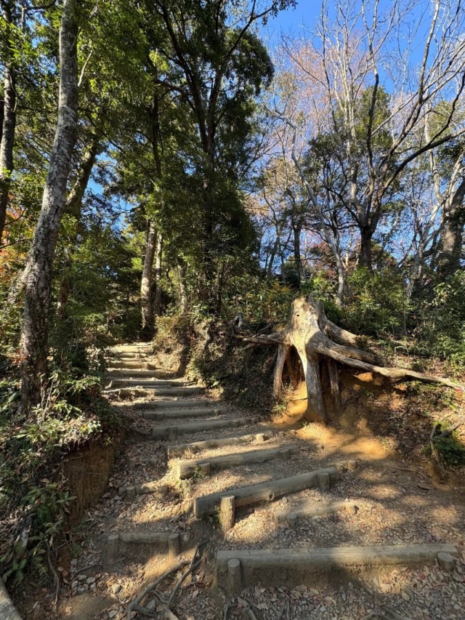 こんにちは！ はじめまして☆