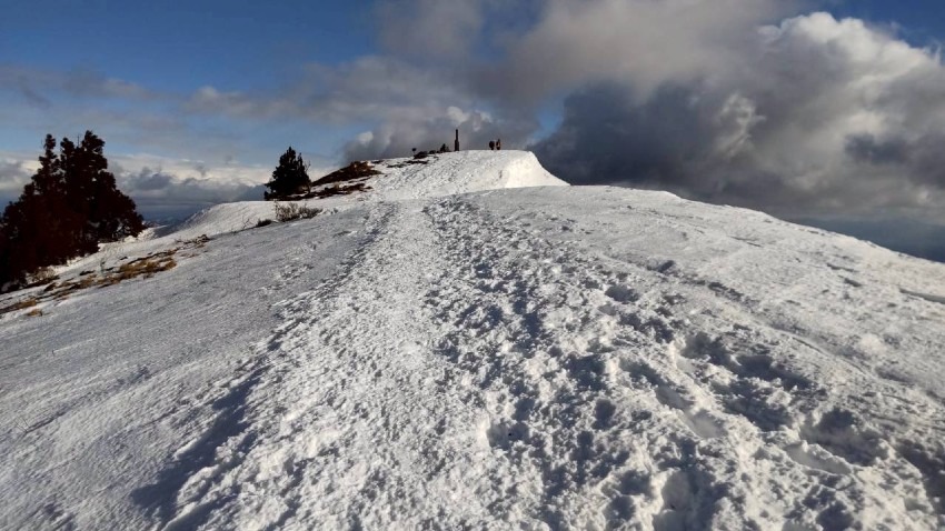 【下山報告】ゆる募