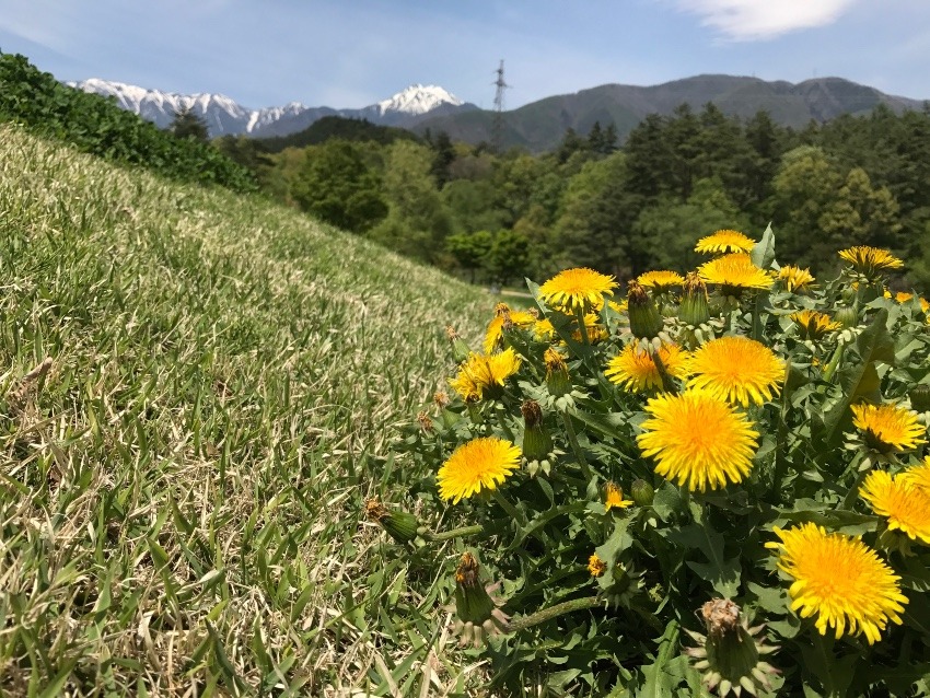 40代女性登山仲間募集♪