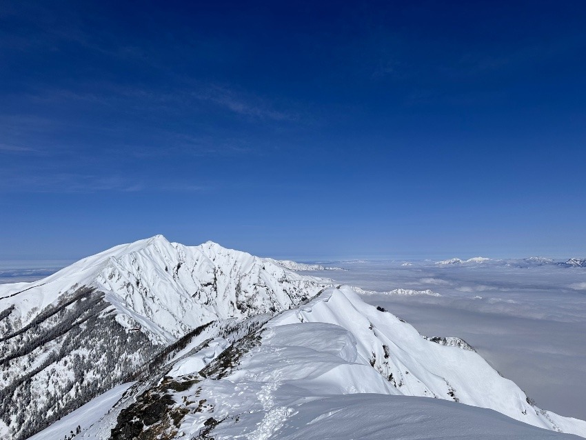 山友さん募集〜