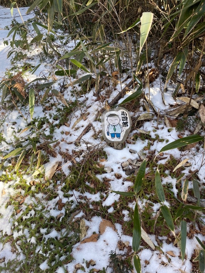 小八郎岳名物小四郎（笑）