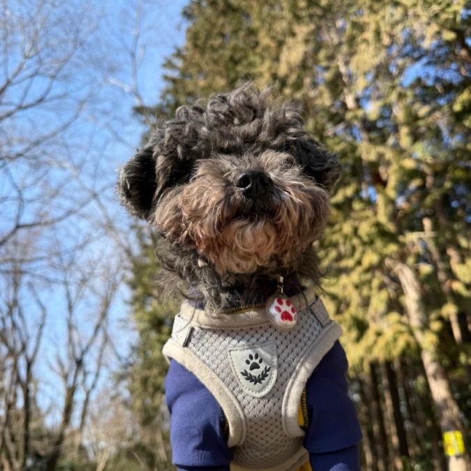 山仲間募集♬平日