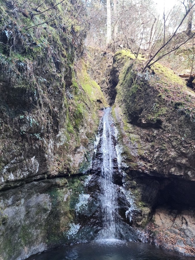 2026.01.25.御岳山